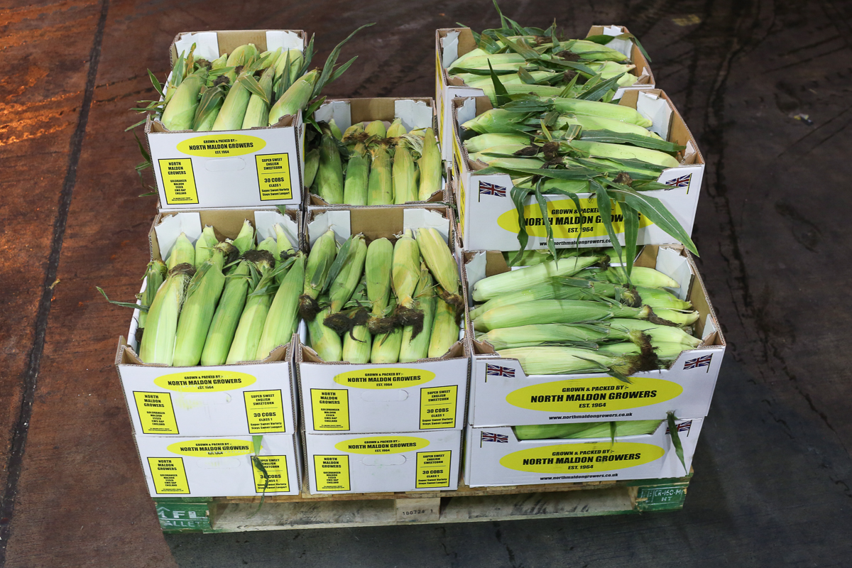 UK sweetcorn