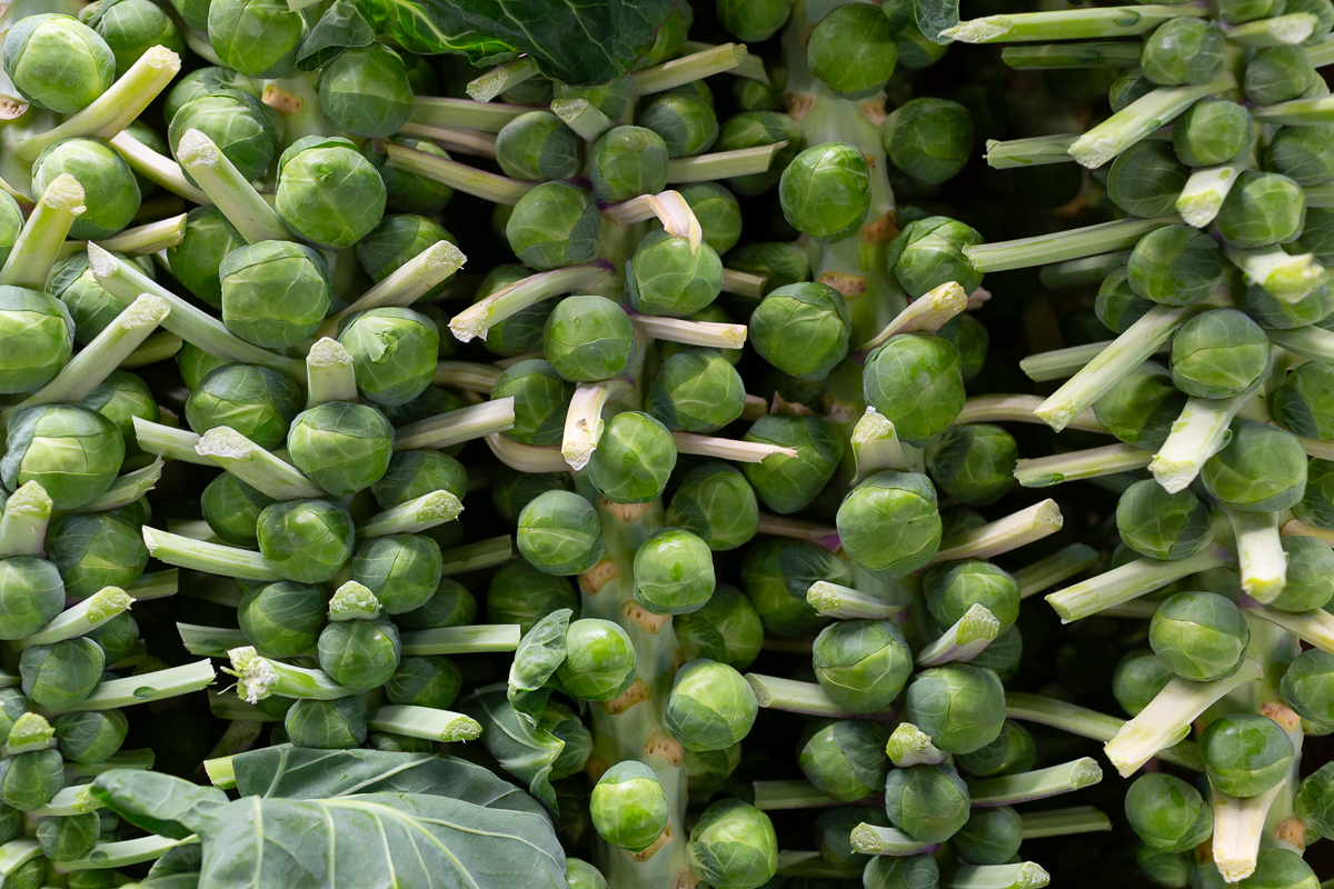 Brussel sprouts