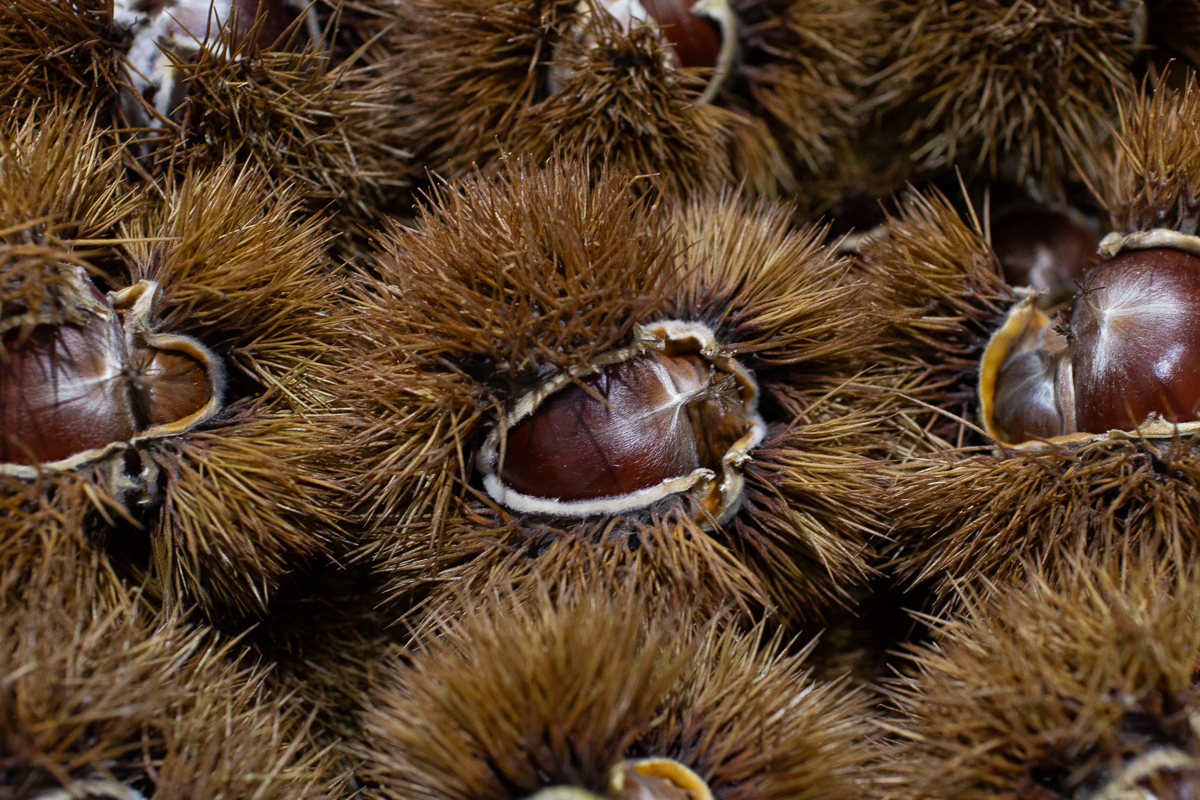 Chestnuts
