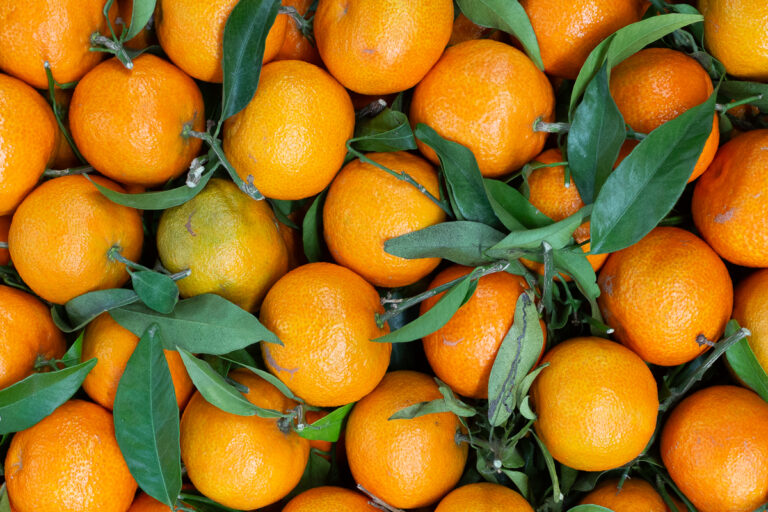 Clementines
