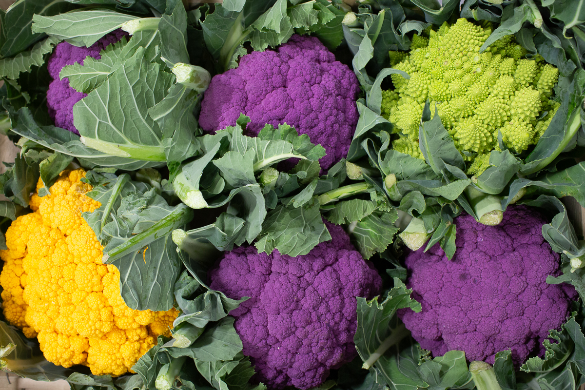 Coloure cauliflowers