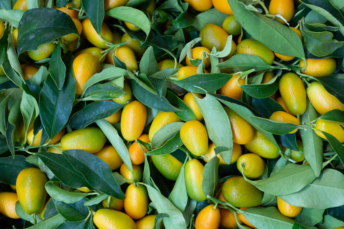 Kumquats