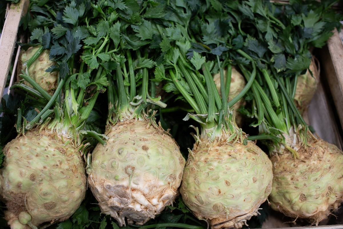 Leafy celeriac