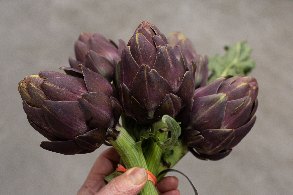 Bunched artichokes