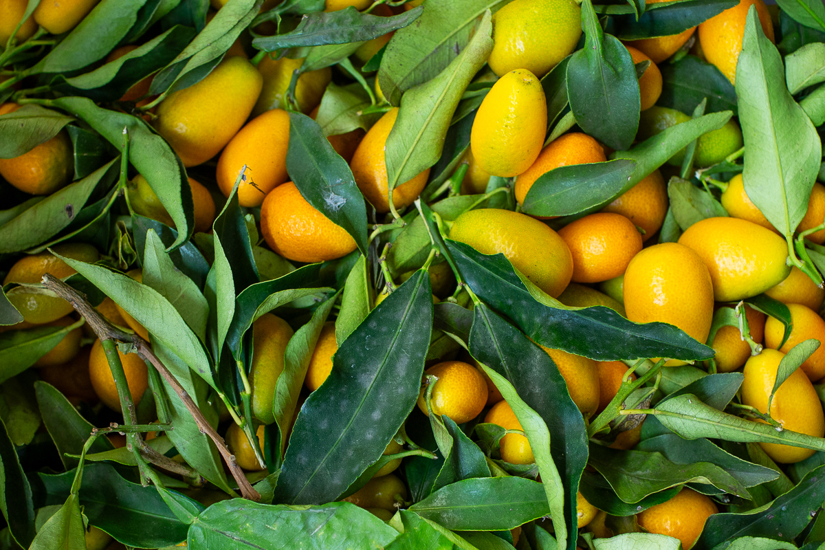 Kumquats