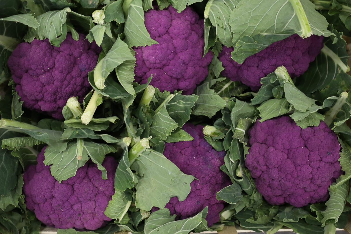 Purple cauliflower