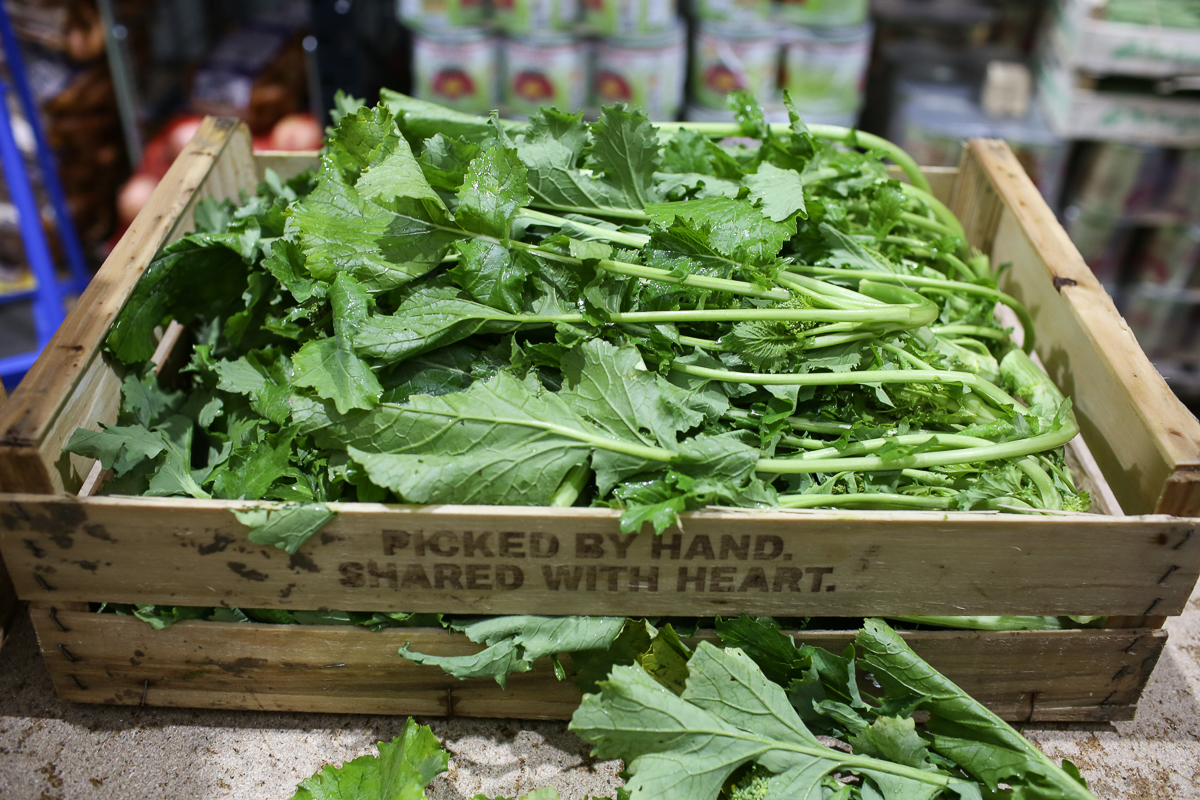 Cime di Rapa