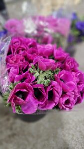 Lilac Anemones, available from Green & Bloom, make a perfect Valentine's Day gift