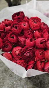 A bunch of red Ranunculus, available from Green & Bloom, make a perfect Valentine's Day gift