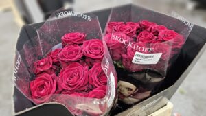 Red roses, the classic Valentine's Day gift, available from Green & Bloom at New Covent Garden Market