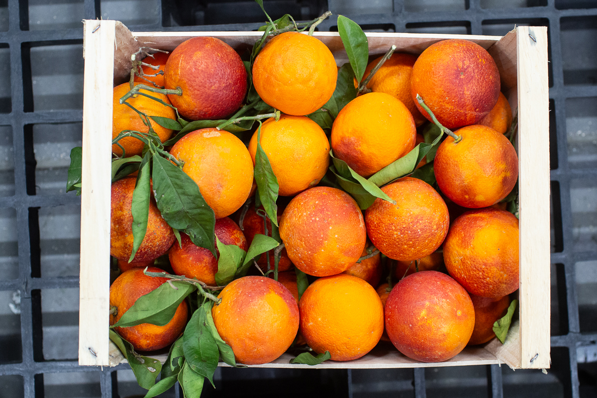 Tarocco Fire blood orange