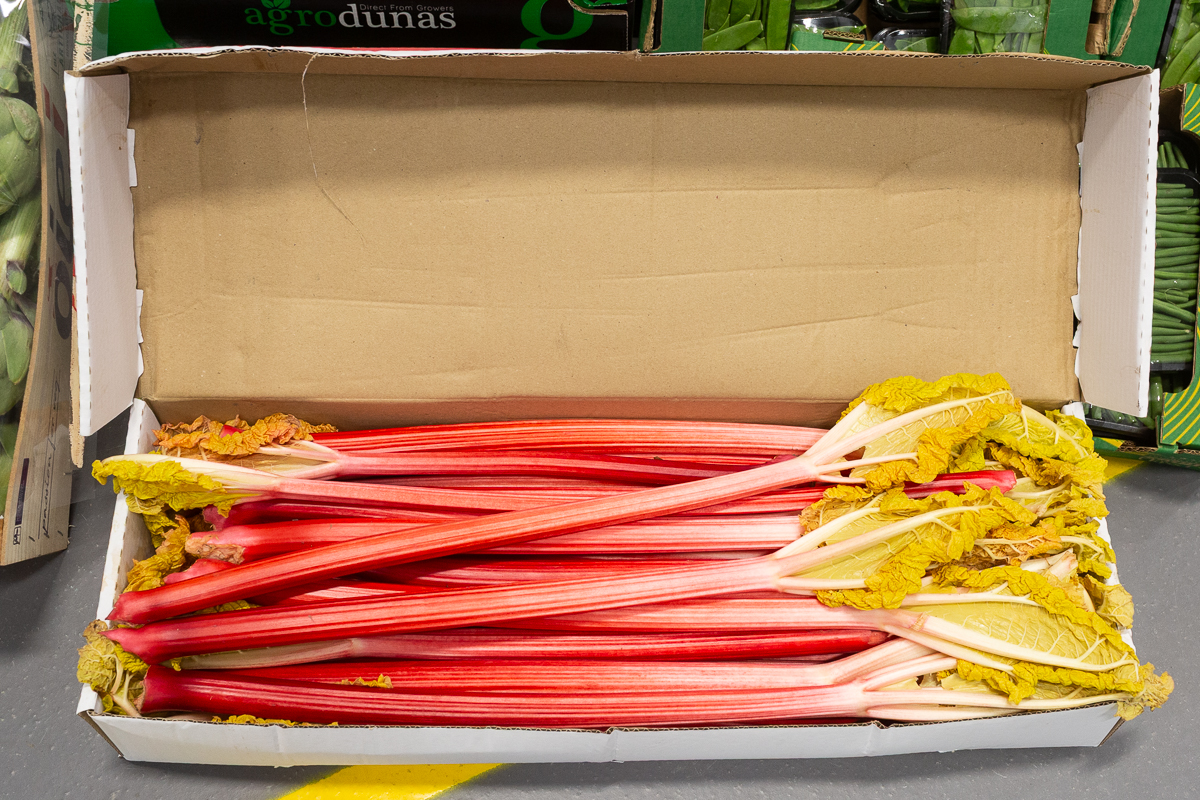 Yorkshire forced rhubarb