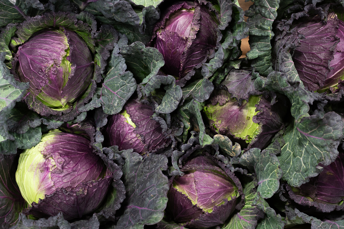 January King cabbages