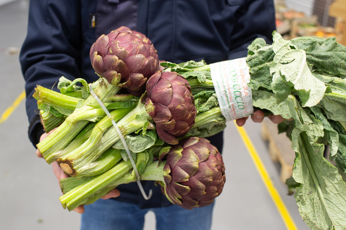 Mammola artichokes