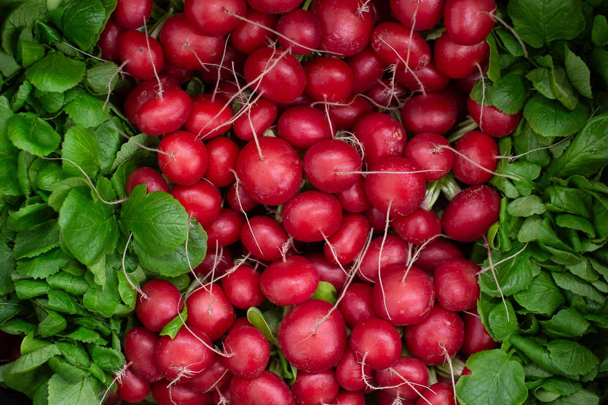 Radishes