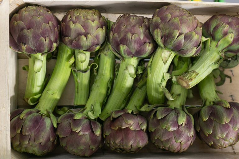 Artichokes
