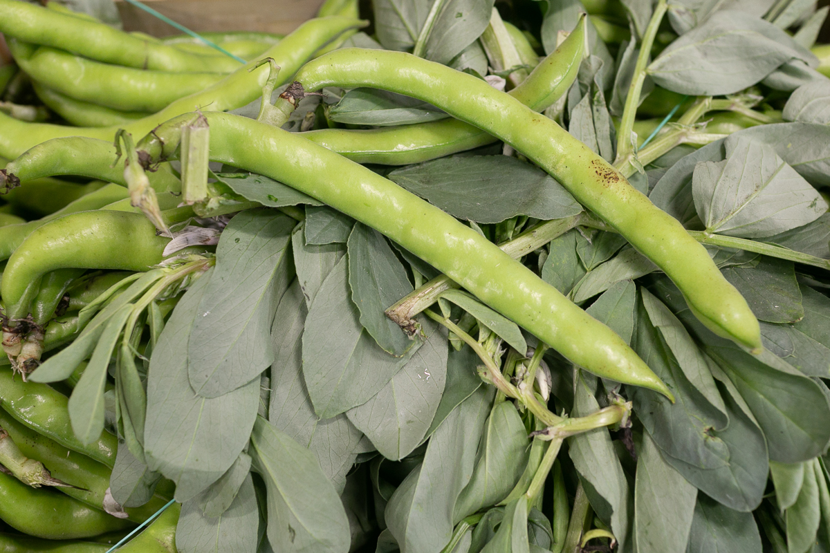Broad beans