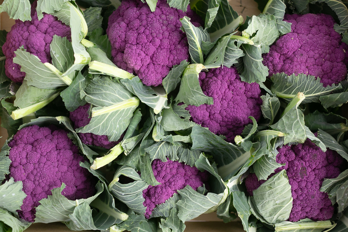 Purple cauliflowers