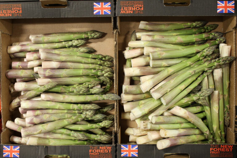 English asparagus