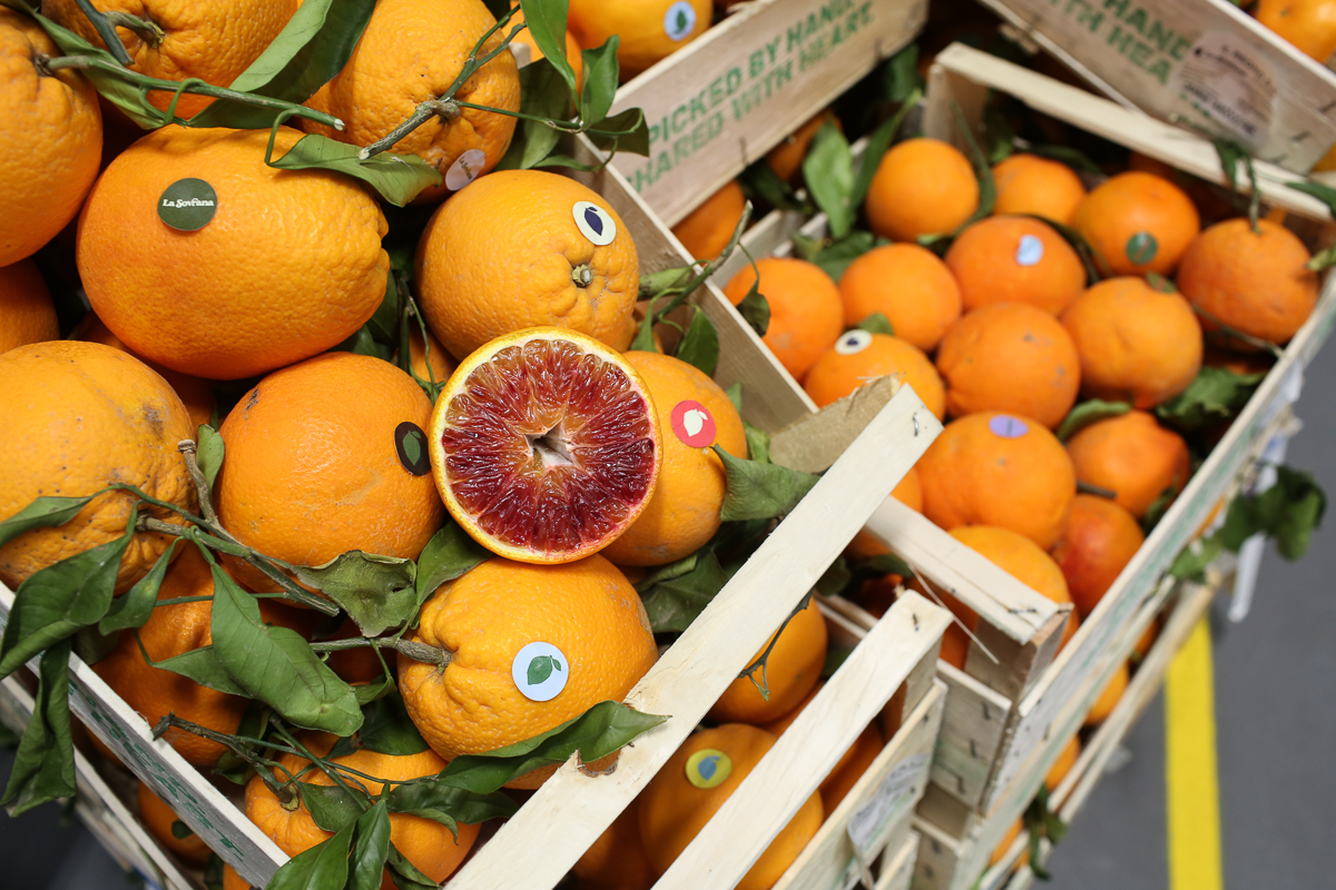 Tarocco blood oranges
