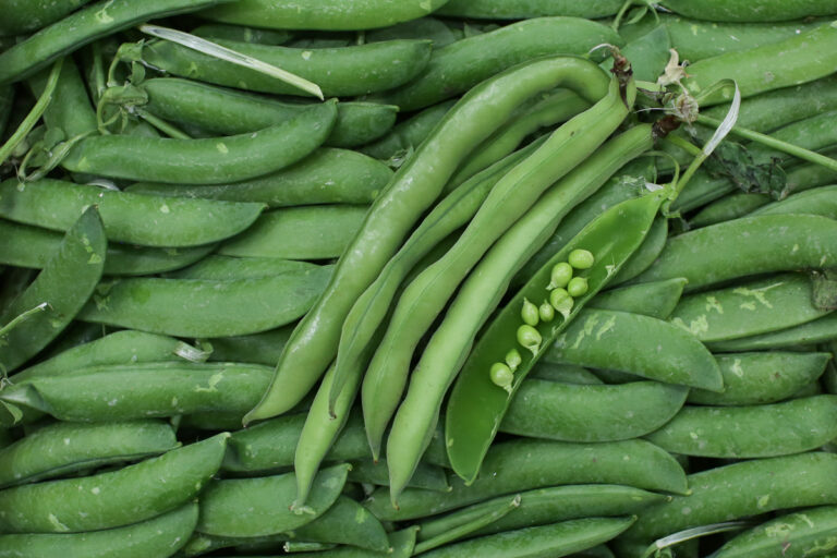 Peas and broad beans