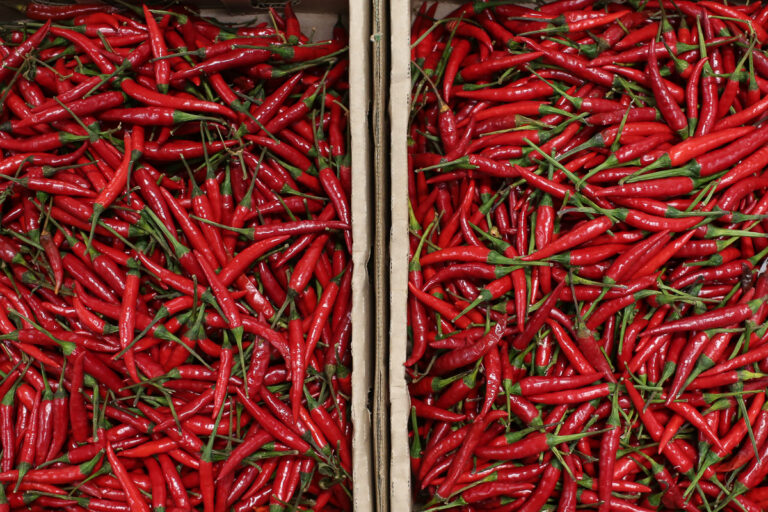 Red birds eye chillies