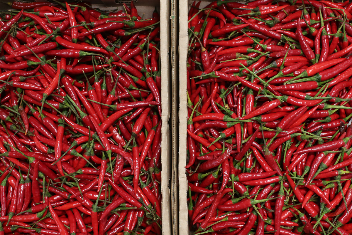 Red birds eye chillies