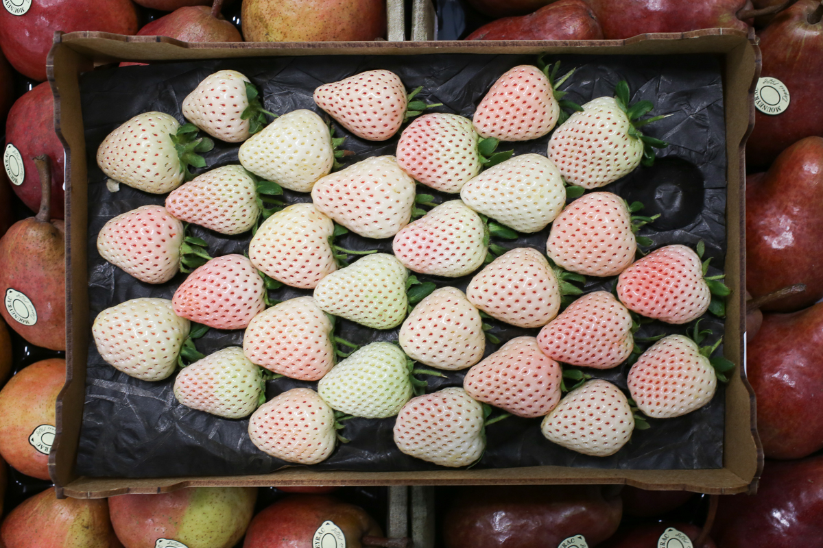 White strawberries