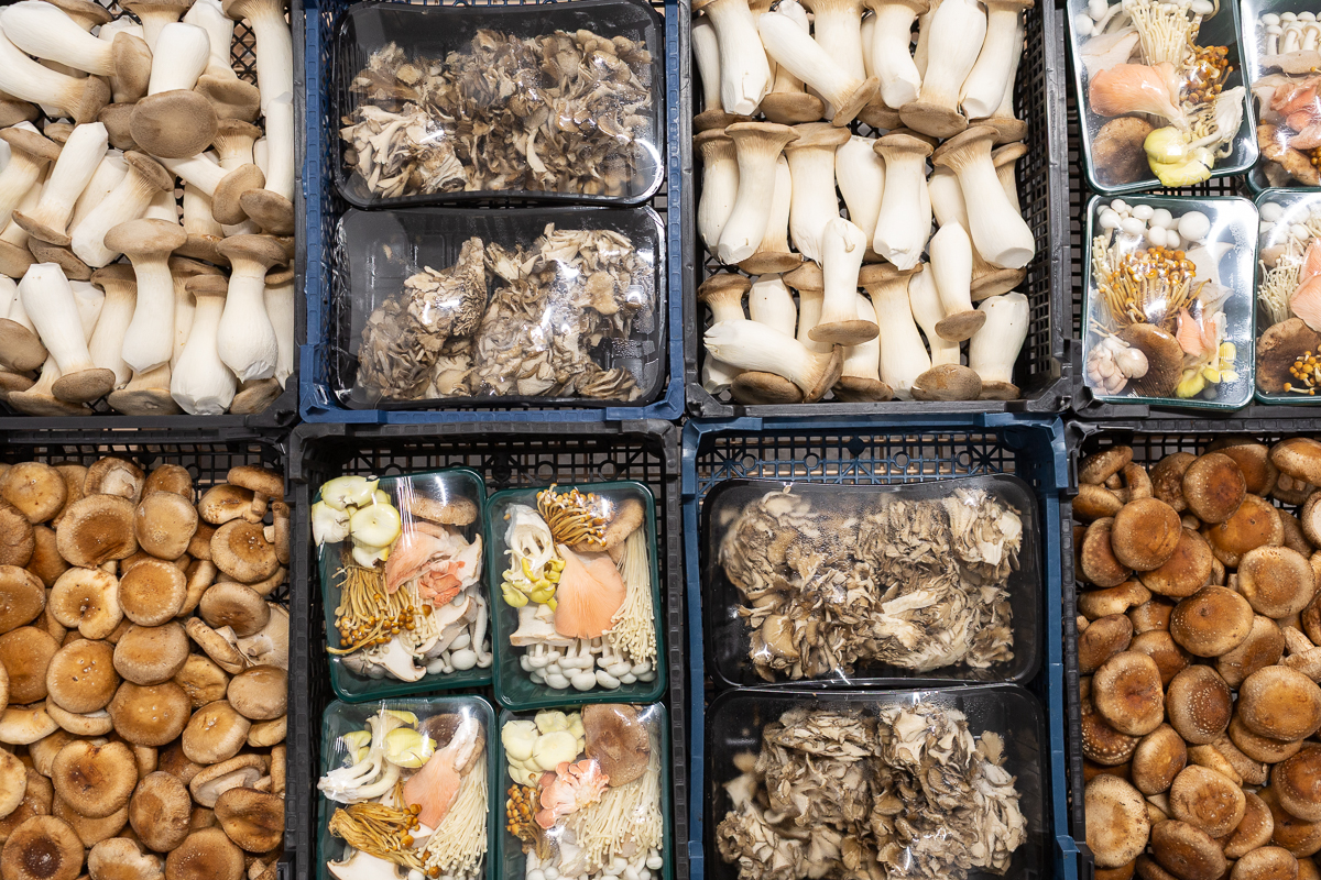 Cultivated mushrooms