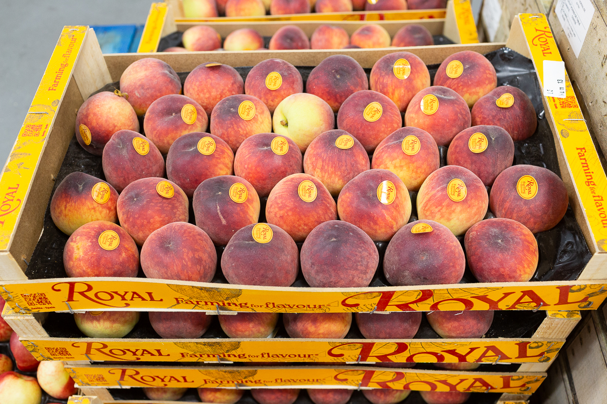 Peaches