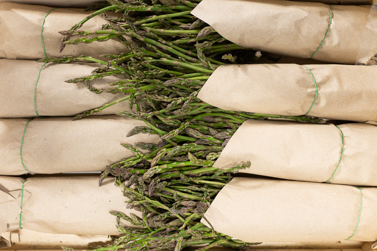Wild asparagus
