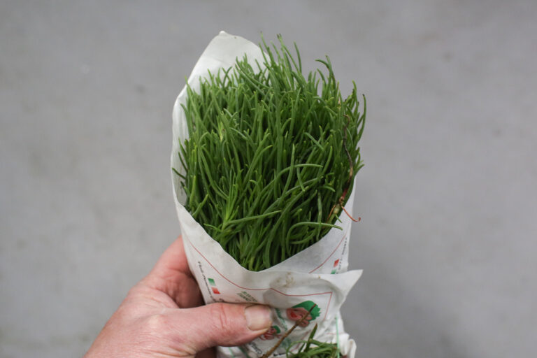 Agretti