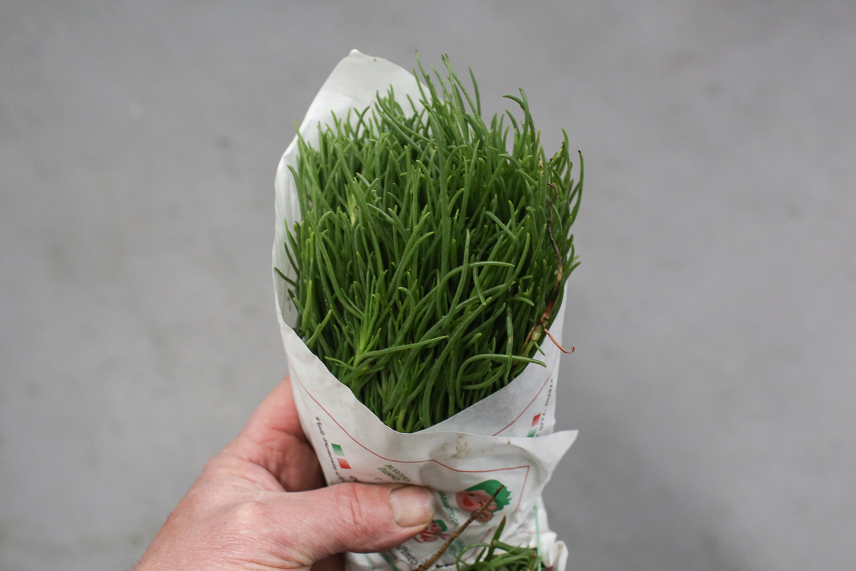 Agretti
