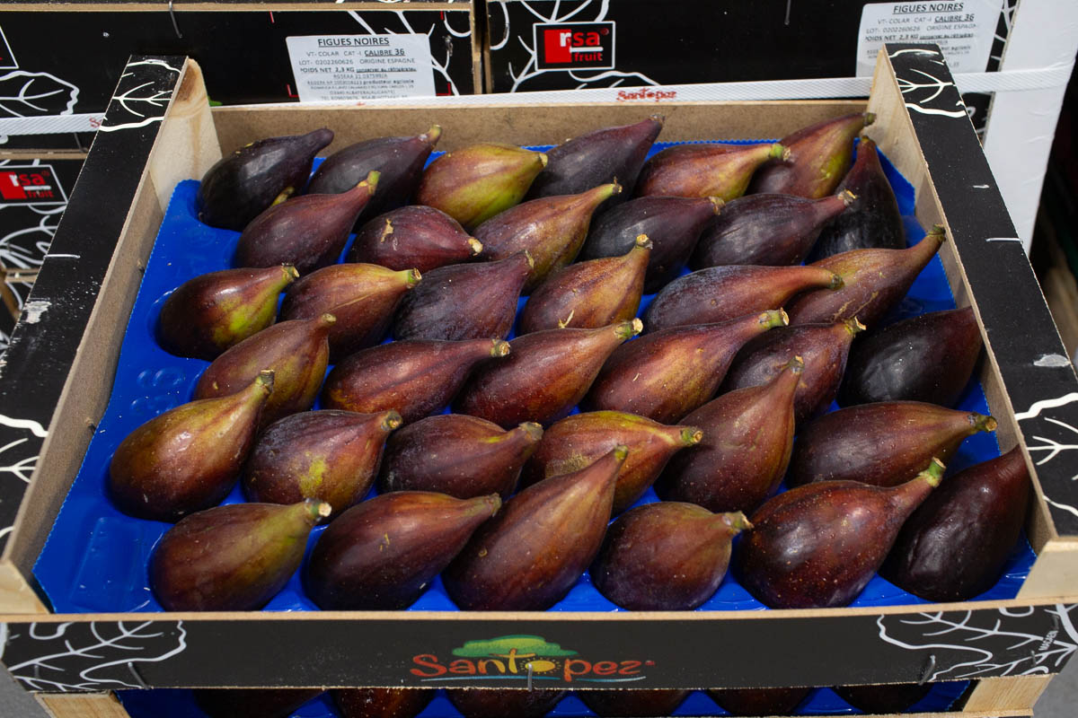 Black Spanish figs