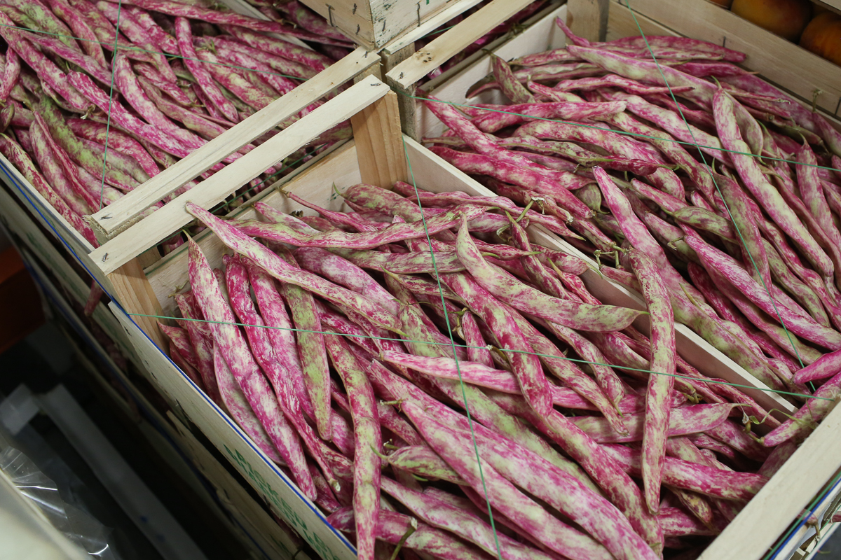 Borlotti beans