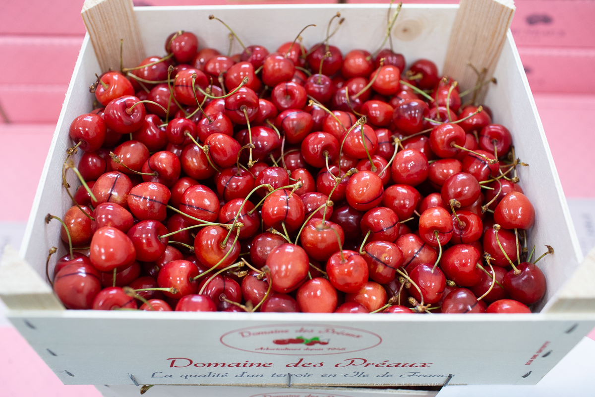 Cherries