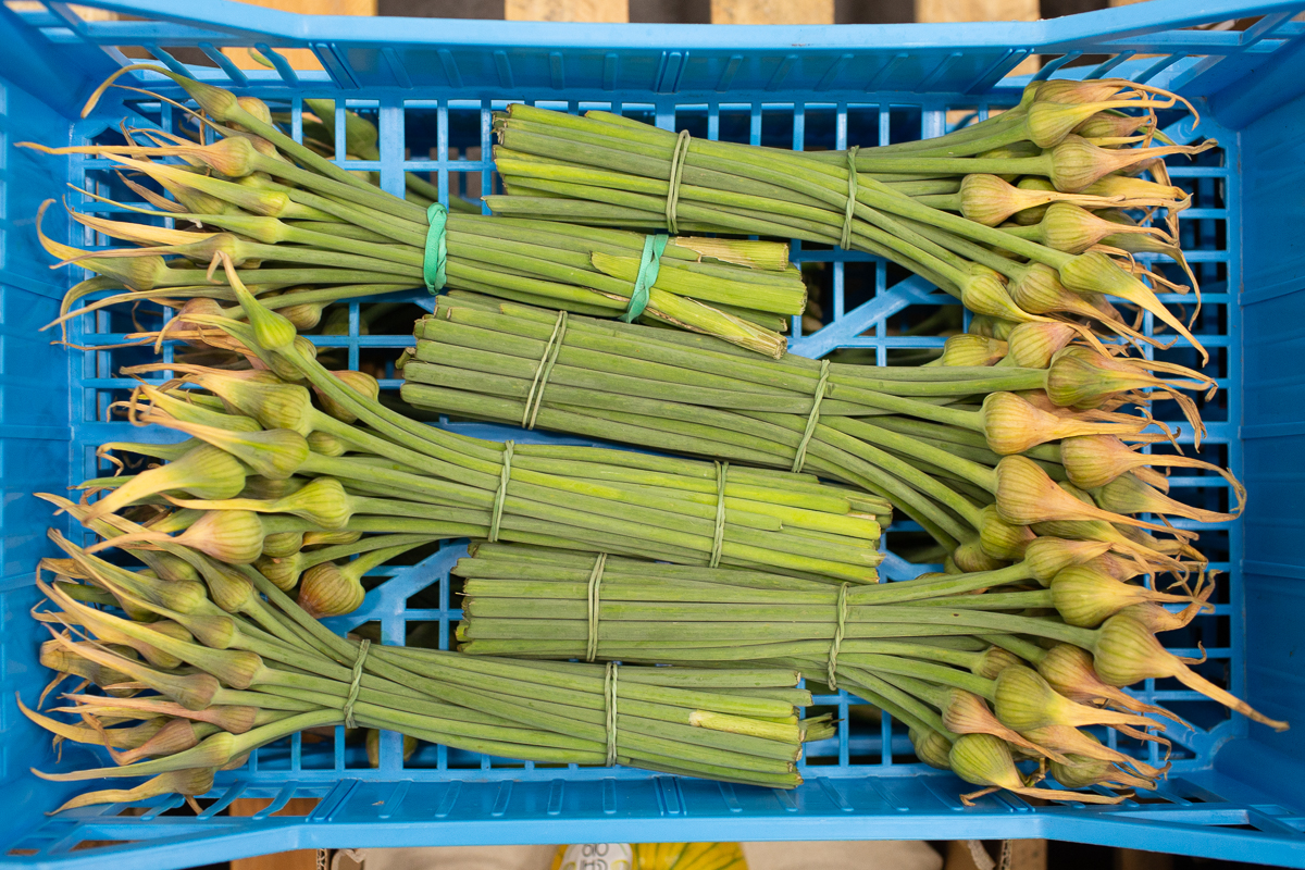 Garlic scapes