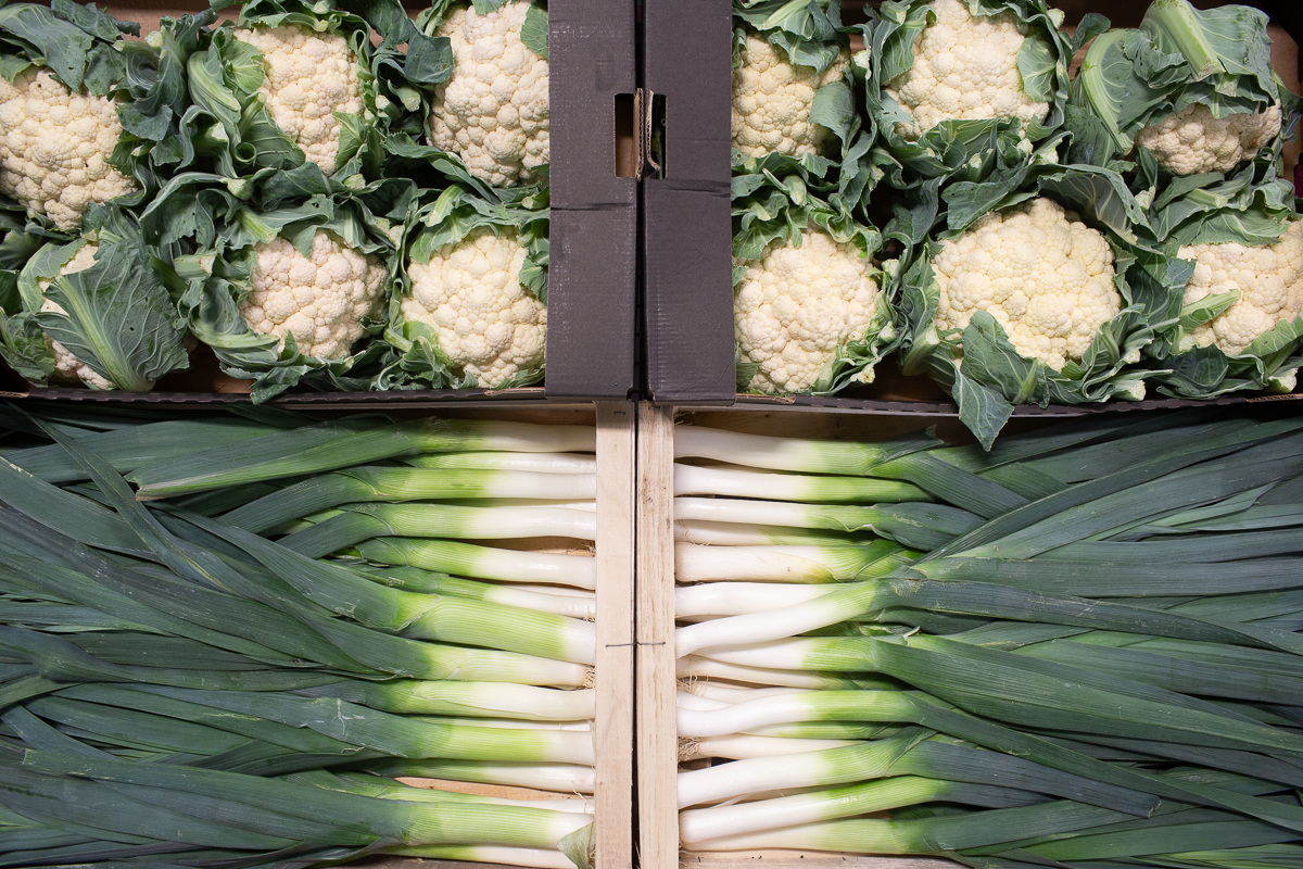 Cauliflowers and leeks