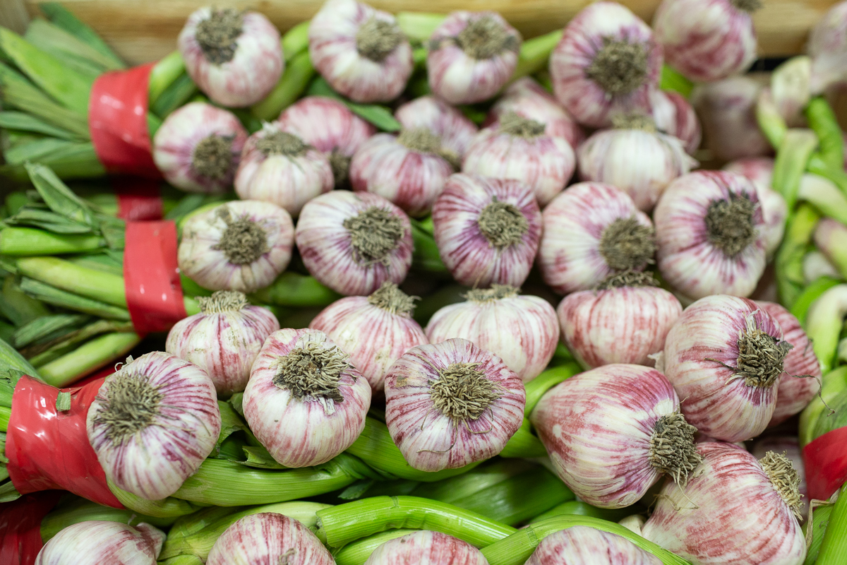 New garlic