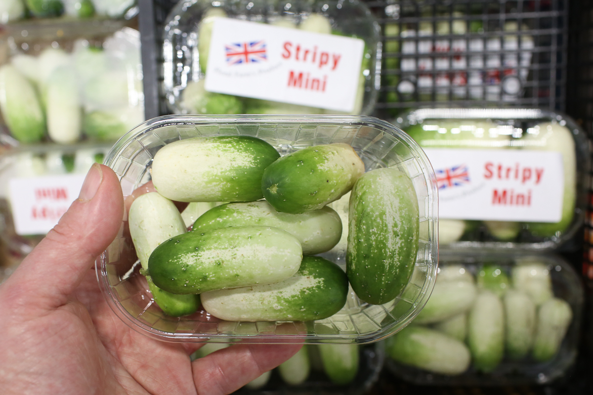 One bite cucumbers