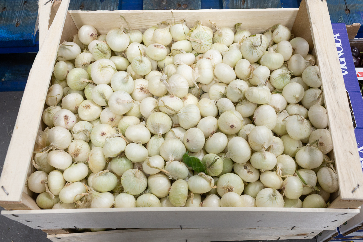 Button onions