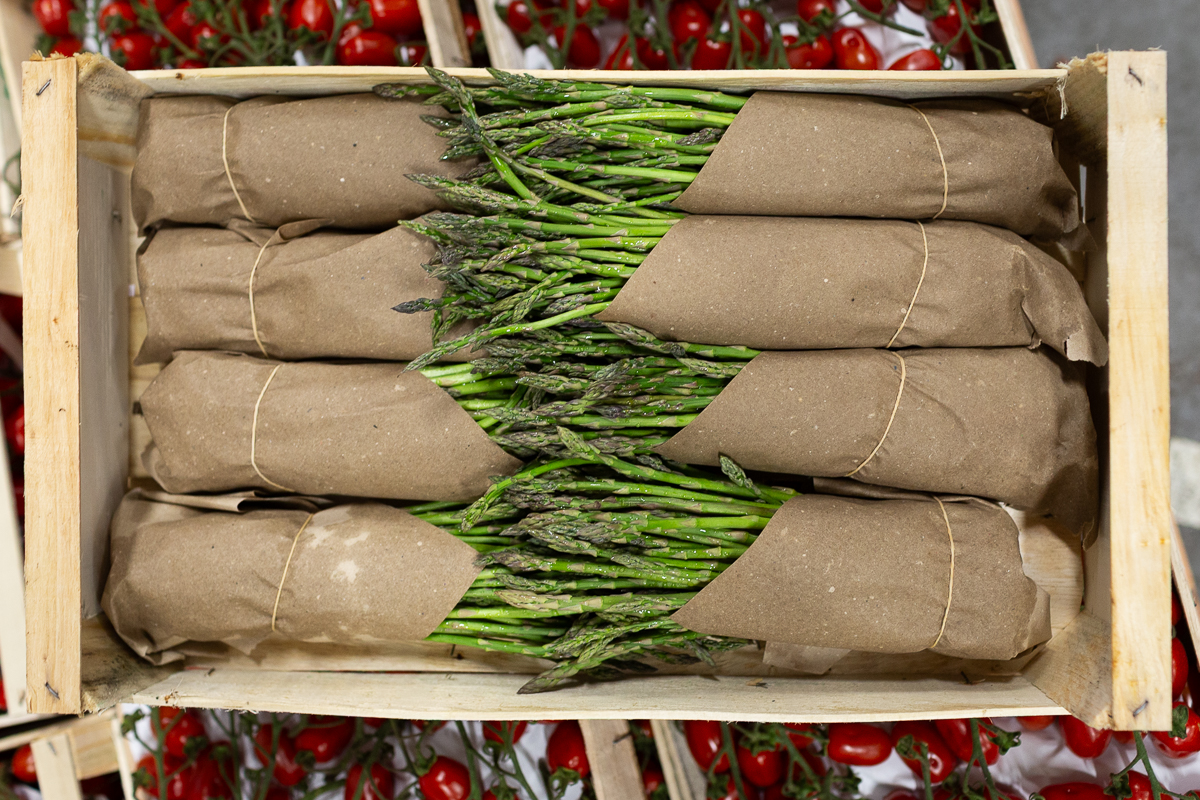 Wild asparagus