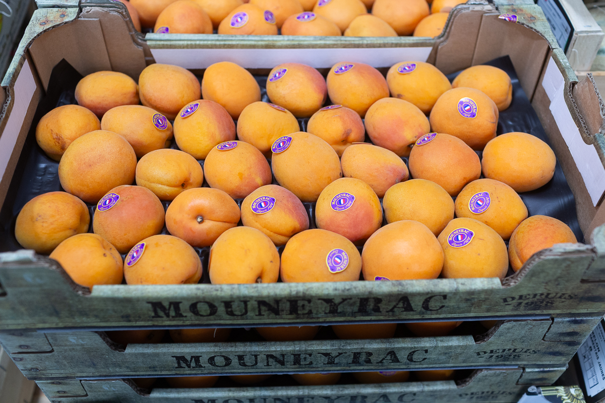 Apricots