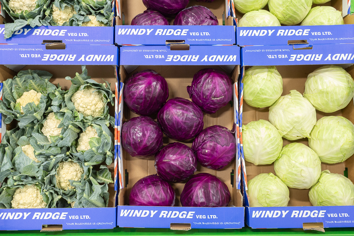 Cabbages