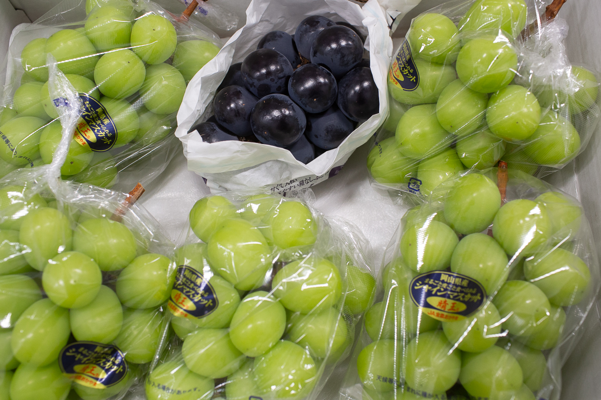Japanese grapes