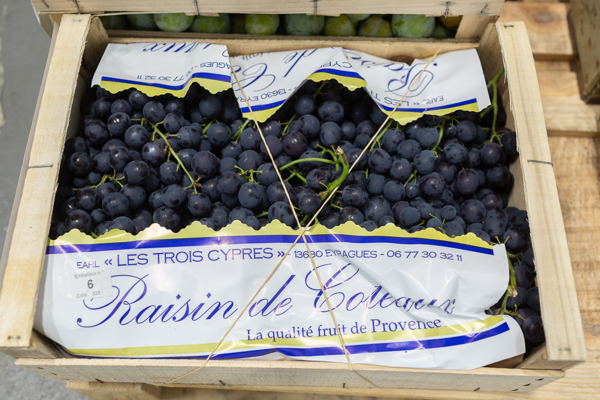 Muscat grapes
