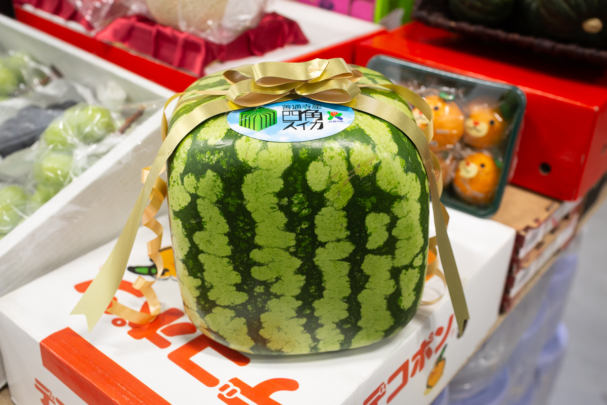 Square watermelon