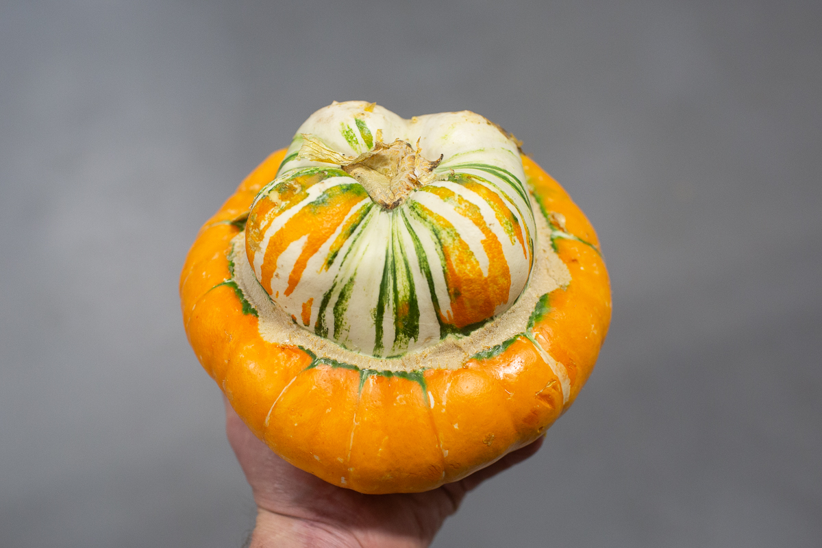 Squash