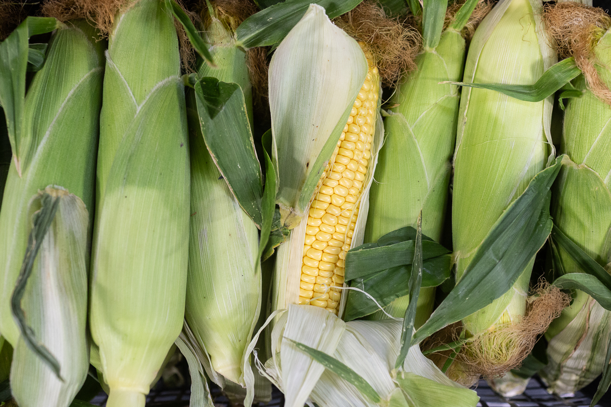 Sweetcorn