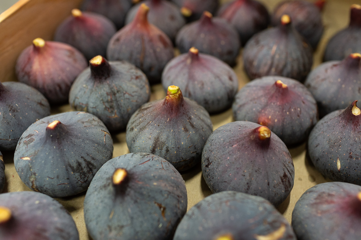 French black figs